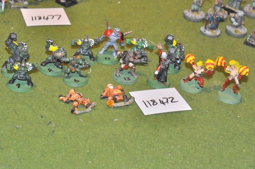 25mm fantasy blood bowl 13 - fantasy,