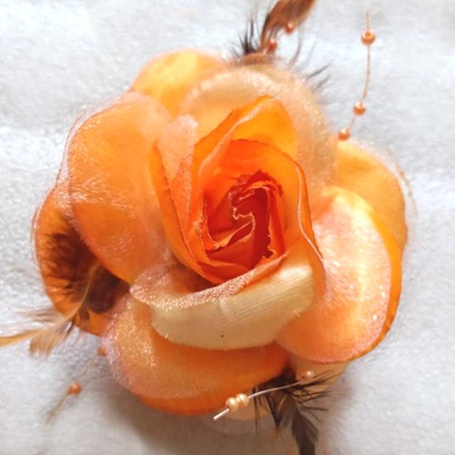 Haarblume ansteckblume - haarblume,