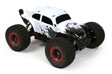 Custom Buggy Body Eagle Style
