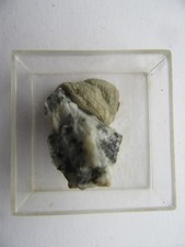 Mineralien, MM Bleiglanz von der Fürstenzeche Lam Dose 2,5 x 2,5 cm