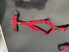 Hundegeschirr, Junghunde, ort, gebraucht