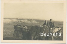 Foto Pferdegespann Wehrmacht