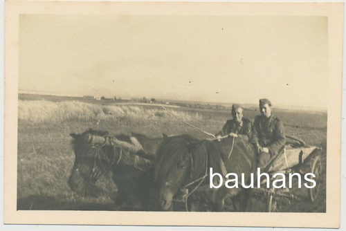 Foto pferdegespann wehrmacht - pferdegespann,