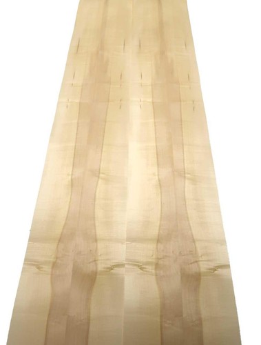 Ahorn furnier holzfurnier - furnier, kern