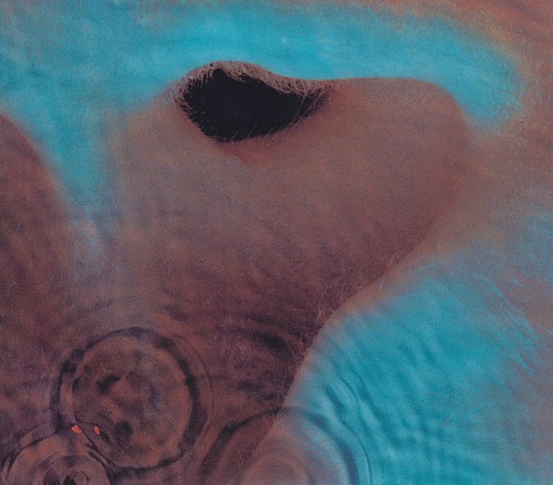 Pink floyd meddle - -,