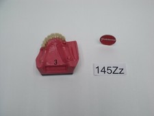 Go Dent Schaumodell , Simulationsmodell , Studienmodell   Nr.145Zz