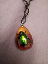 Grün schillernder Skarabäus