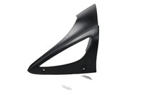 Blinkergehäuse vorne rechts