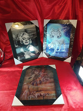3 x 3D Bild im Rahmen Marilyn Monroe Tiger Indianer Adler Neuwertig (4384)
