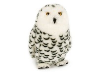 EULE Schneeeule weiblich