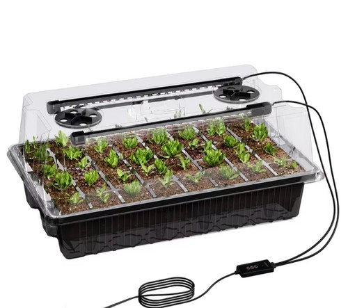 Gewächshaus propagator - gewächshaus,