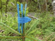 TS-Schutzmanschetten, Verbissschutz, Wildverbiss, Kieferle 008.004