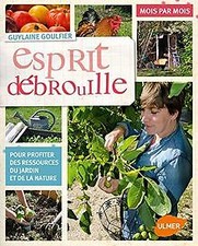 Esprit débrouille von Goulfier, Guylaine | Buch | Zustand sehr gut