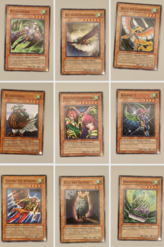 Yugioh geflügeltes - yugioh,,