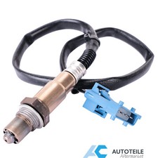 Lambdasonde nach Kat