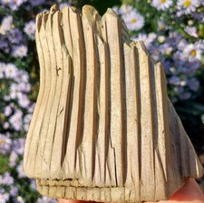 kleines,   schön geformtes