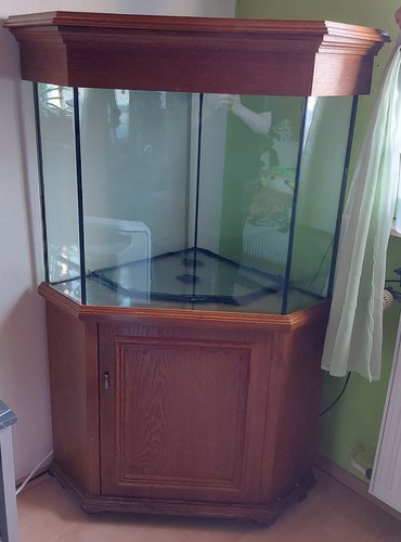 Eck aquarium innenfilter - eck,