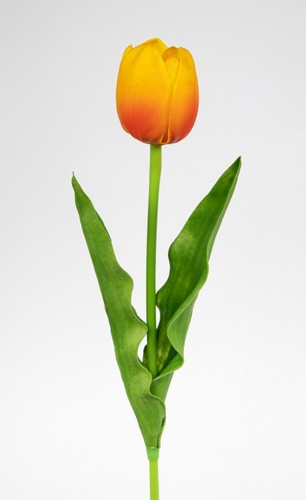 Künstliche tulpe real - künstliche, pu