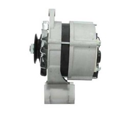 Lichtmaschine Delco 55A OEM