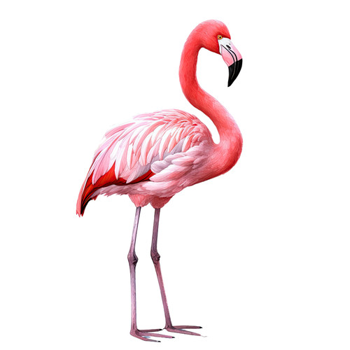 10x autoaufkleber flamingo - autoaufkleber,