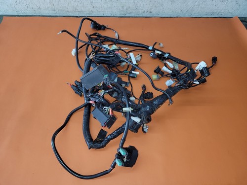 Ktm duke 690 kabelbaum - ktm, r