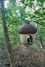 Vogelhaus In Nuss Form