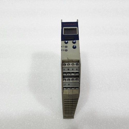 Jumo weishaupt itron dr100 - itron,