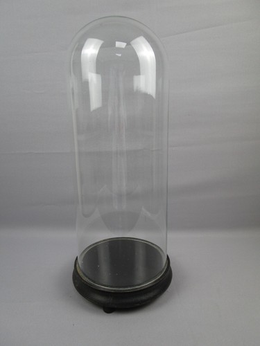 Glasdom mit holzsockel - mit,