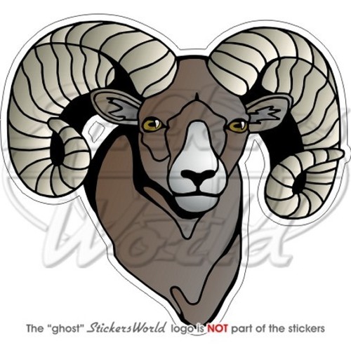 Widder schafsbock schaf - widder,