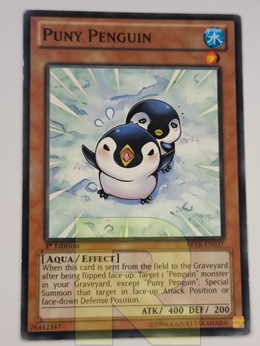 Gracile pinguin puny - pinguin, /