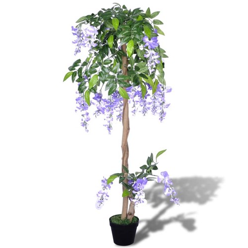 Glyzinie blauregen blue - glyzinie, |
