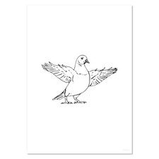 Wandposter / Drucke "Taube mit
