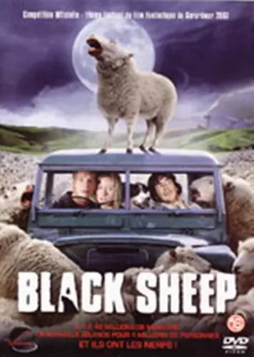 Black sheep - black,