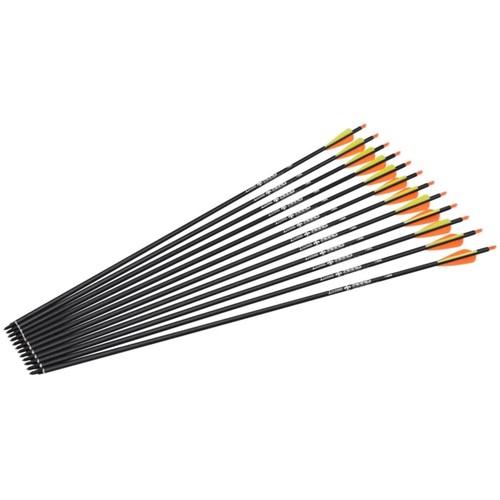 Pfeile carbon zoll - 28, 30