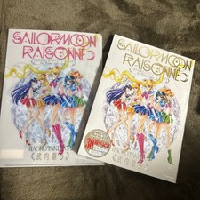 Sailor Moon Raisonné Art