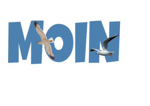 Moin möwen maritim aufkleber - maritim,