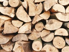 Buche Brennholz 30kg Kaminholz