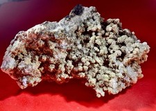 Apophyllit XX mit Chloritüberzug, Stbr. Herbornseelbach, Lahn-Dill-Kreis. 11 cm