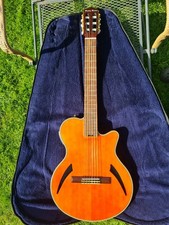 E-Gitarre Harley Benton  mit