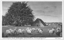 AK Lüneburger Heide m