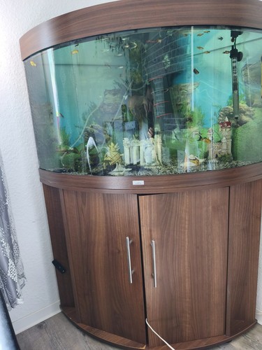 Komplettaquarium süßwasser - komplettaquarium,