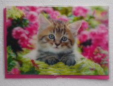 Karte 3D/Wackelbild 13 x 19 cm groß neutral Tiere Katze Blumen Umschlag