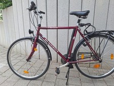 Herren Trekkingrad 28 Zoll