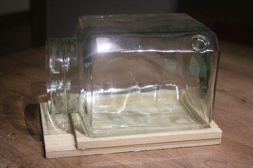 Terrarium auf holzplatte - terrarium,