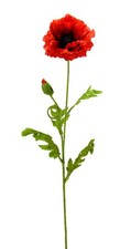 künstlicher Mohn mit Knospe