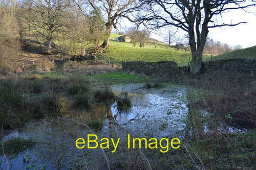 Foto 6x4 teich auf - foto, nidd