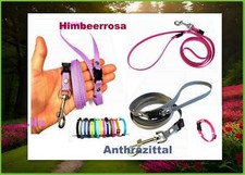 Führleine starter set - führleine,