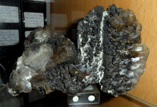 Top Hasenohren Calcit Stufe UV aus Mexiko....