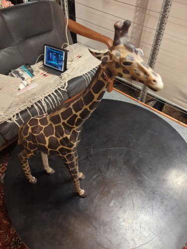 Giraffe deko - giraffe, (antik)