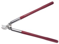 Freund Victoria Astschere